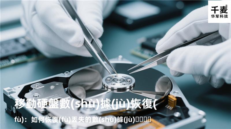 移動硬盤數(shù)據(jù)恢復(fù)：如何恢復(fù)丟失的數(shù)據(jù)，找回重要文件